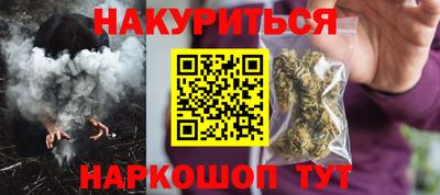индика Ставрополь