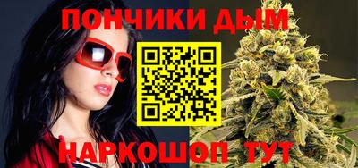 индика Ставрополь