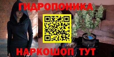 индика Ставрополь