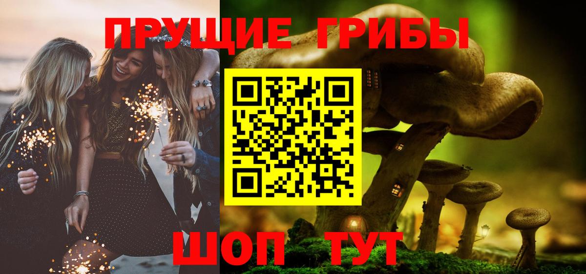 Галлюциногенные грибы Psilocybine cubensis  Вход с VPN  Мончегорск 